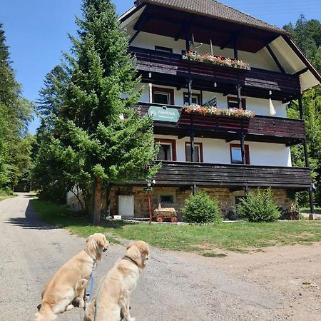 Waldblick Ferienwohnungen Bonndorf im Schwarzwald Luaran gambar