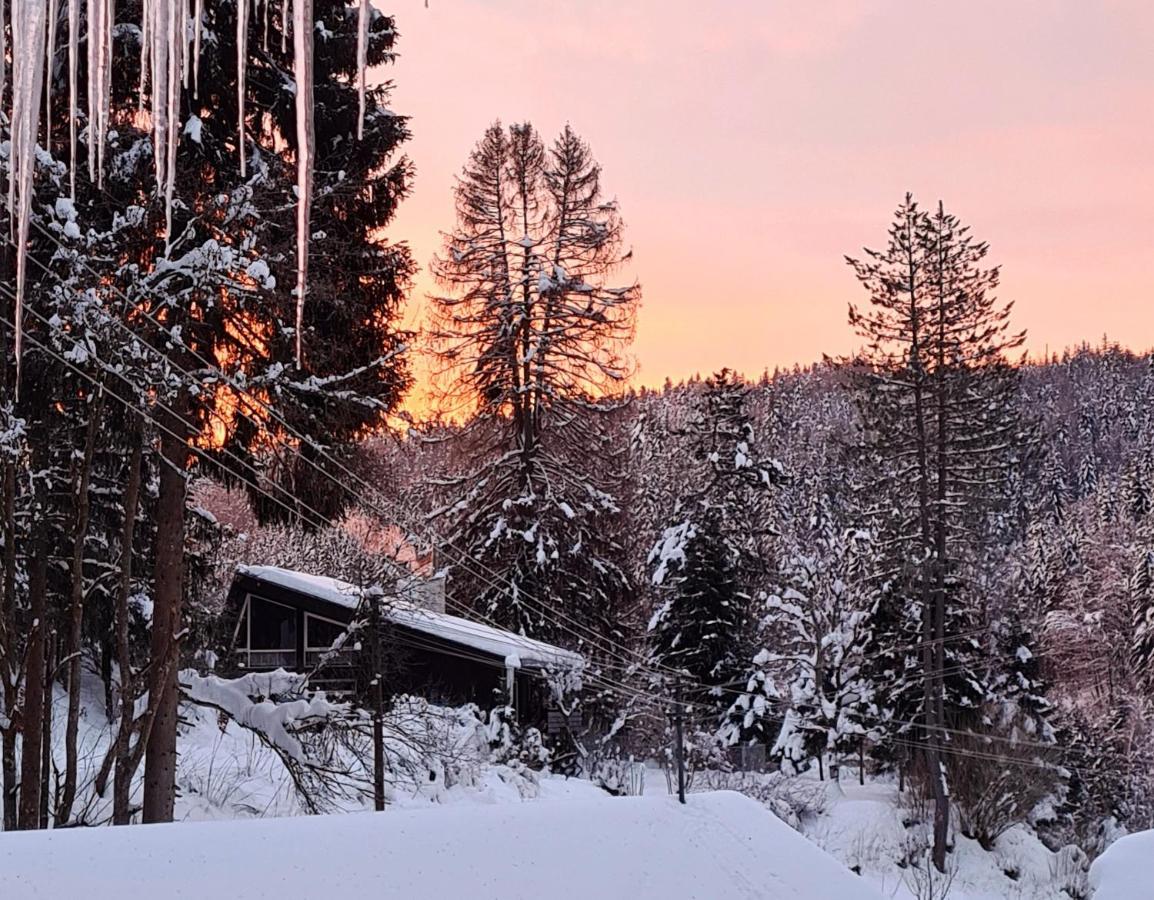 Waldblick Ferienwohnungen Bonndorf im Schwarzwald Luaran gambar