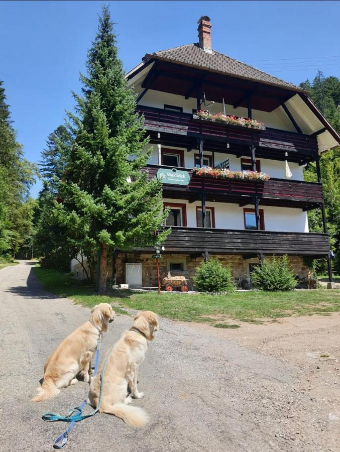 Waldblick Ferienwohnungen Bonndorf im Schwarzwald Luaran gambar